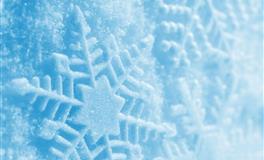 羲邑师姐生肖猪一周运势(2.14-2.20)