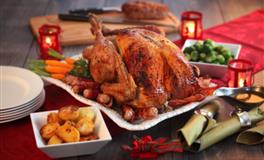 凯利.福克斯白羊座2022年2月运势