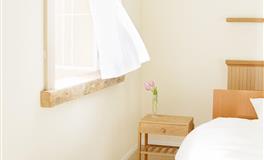 竹猫星球天蝎座一周塔罗运势（2.21-2.27）