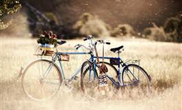 静电鱼2022年3月星座运势