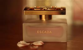 苏珊米勒2022年2月白羊座运势完整版