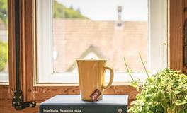 苏珊米勒每日运势2022年2月8日