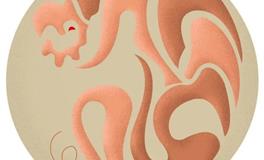 属猪人——2022生肖运势第三名