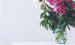 这三个星座最有可能成为双鱼座的灵魂伴侣