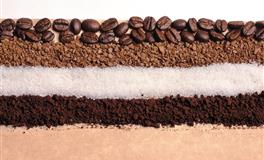 羲邑师姐生肖狗一周运势(3.7-3.13)