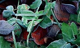 展钰凝天蝎座一周运势（3.7-3.13)