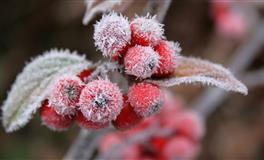 人前相当谦卑，实则天生傲骨从不迎合任何人，散发自信的星座