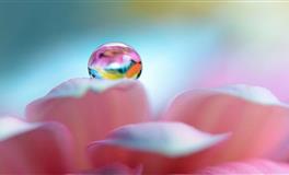 最塔罗白羊座一周运势(3.28-4.3)