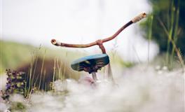 Alex魔羯座一周运势（3.28-4.3）