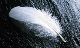 水瓶座恋爱后究竟会有多大改变？