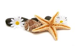 最塔罗处女座一周运势(3.28-4.3)