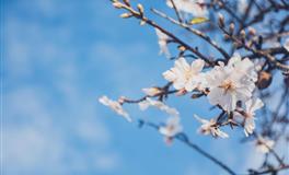 凡事争第一，不甘落后的三大星座，能力强心态稳