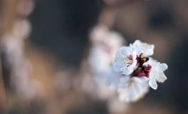 羲邑师姐生肖鼠一周运势(3.21-3.27)