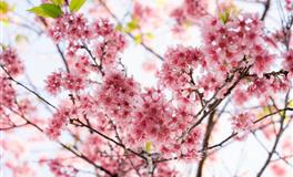 在熟人和陌生人之前判若两人的三星座，就是典型的慢热型