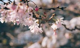 苏珊米勒每日运势2022年4月1日