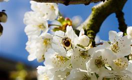 杀破狼天秤座一周运势(3.28-4.3)