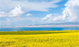 说谎时，毫无漏洞的星座，太圆活，一般人不是对手