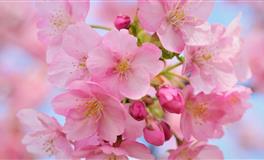 很难驾驭的四个星座，不会被牵着鼻子走，有自己的独立个性