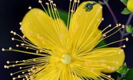 有气质魅力的3大星座，天生有吸引力，水瓶座上榜