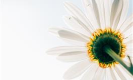 天生讨喜，无论走到哪儿，都很受欢迎的4个星座