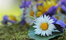 娜迪亚金牛座本周运势（3.28-4.3）