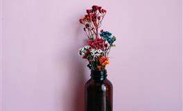 Alex狮子座一周运势（3.28-4.3）