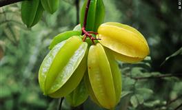 最有男子气概的四个星座，会懂得保护女主，让人羡慕