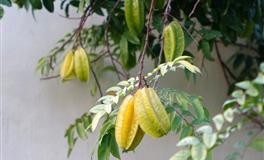 竹猫星球白羊座一周塔罗运势（3.21-3.27）