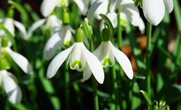 腹有诗书气自华的三大星座，才华横溢惹令人羡慕