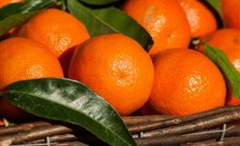 天使的容貌，魔鬼的心，这三大星座最狡猾了，惹不起