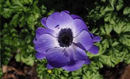 花甜天蝎座2022年4月运势