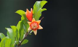 Hint占星射手座一周运势（3.28-4.3）