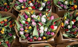 Lunita天秤座一周运势(3.21-3.27)