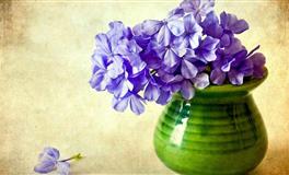 最塔罗金牛座一周运势(3.21-3.27)