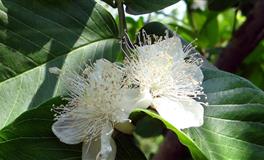 杀破狼金牛座一周运势(3.28-4.3)