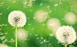 春季到来，十二星座恋爱指南