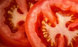 杨清华12生肖一周运势（3.21-3.27）