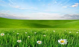 处女座存不到钱的原因