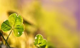 蓝蓝占星水瓶座一周运势(4.11-4.17)