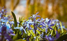 神叨酱心灵疗愈指引2022年4月17日