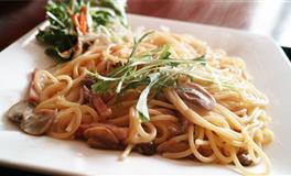 Alex射手座一周运势（4.4-4.10）