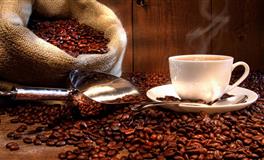 裴恩：处女座一周运势（4.11-4.17）