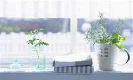 竹猫星球巨蟹座一周塔罗运势（4.11-4.17）