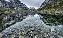 Kiddo白羊座一周运势（4.25-5.1）