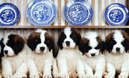 4月，有可能旧情复燃的星座TOP5