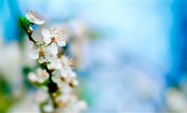 百变巫女射手座一周运势（4.25-5.1）