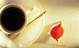 娜迪亚天秤座本周运势（4.18-4.24）