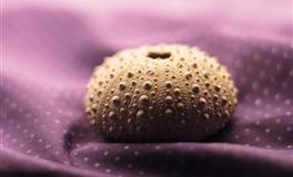 Kiddo水瓶座一周运势（4.25-5.1）