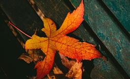 TA对你的感情是怎样，他爱你么？