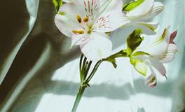 娜迪亚天蝎座本周运势（4.25-5.1）